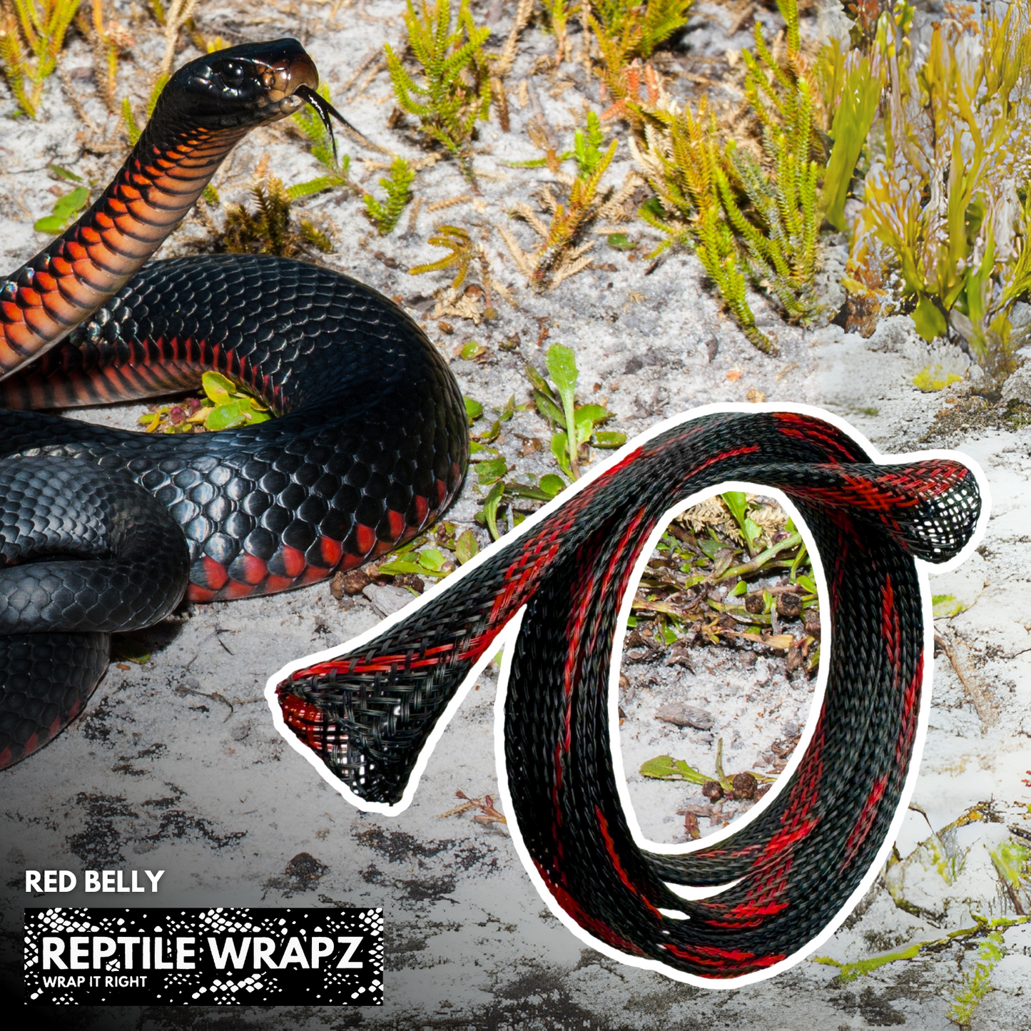 REPTILE WRAPZ DETECTOR CABLE SLEEVE