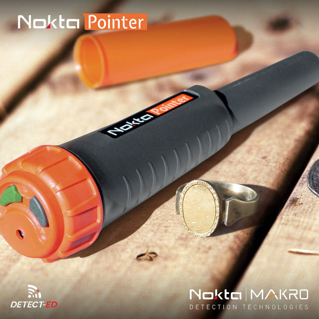 Nokta Pointer