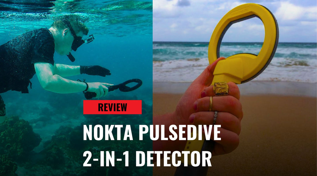 Nokta PulseDive 2-in-1 Metal Detector Review