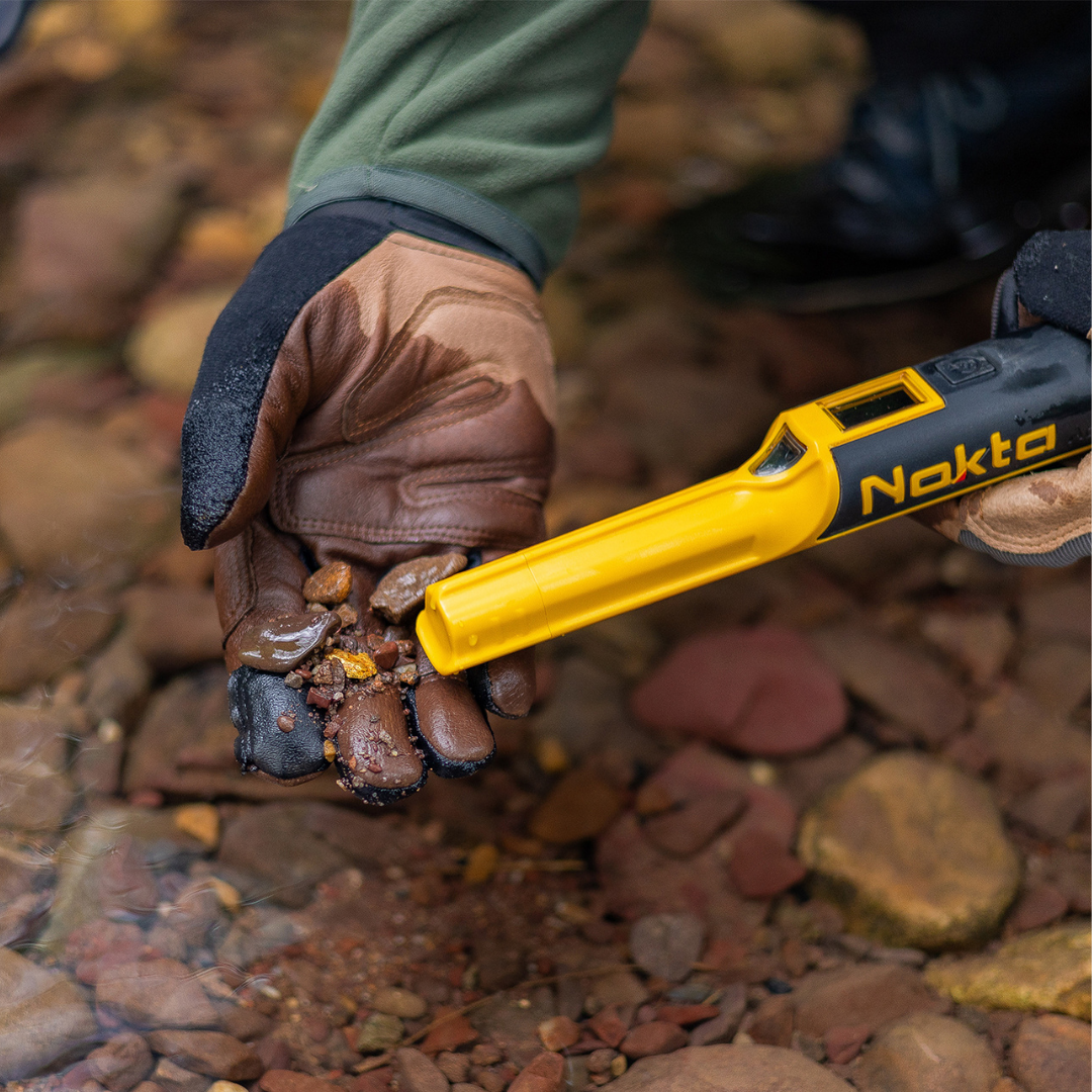 Shop Pinpointers for Metal Detecting - Detect-Ed Australia