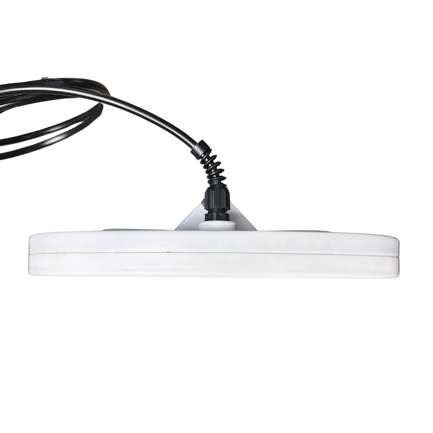 Detect-Ed DETECH DETECH 11x6" MONOLOOP COIL [E1500+, SD/GP/GPX*] D00107