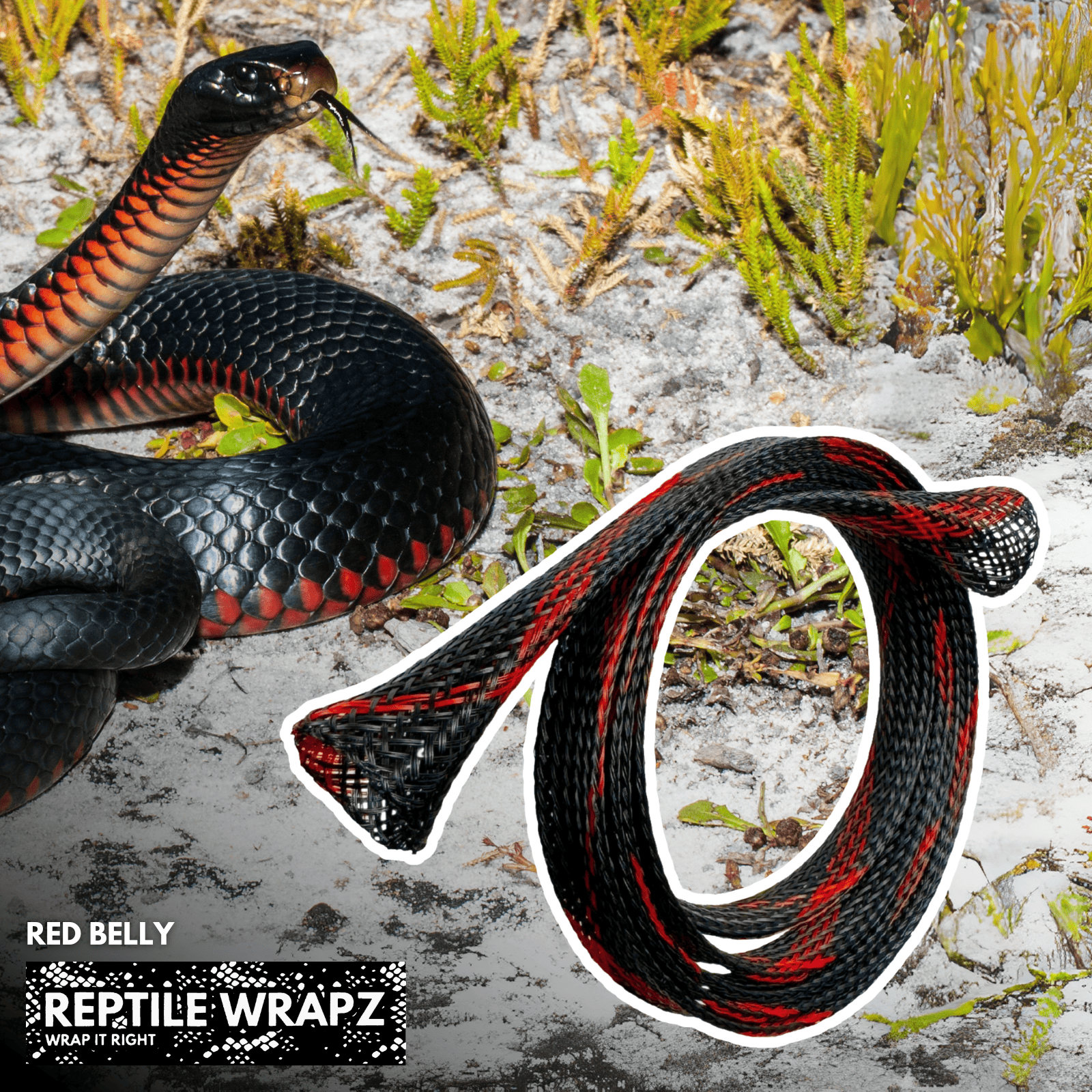 Detect-Ed Everyday Detectorist REPTILE WRAPZ DETECTOR CABLE SLEEVE