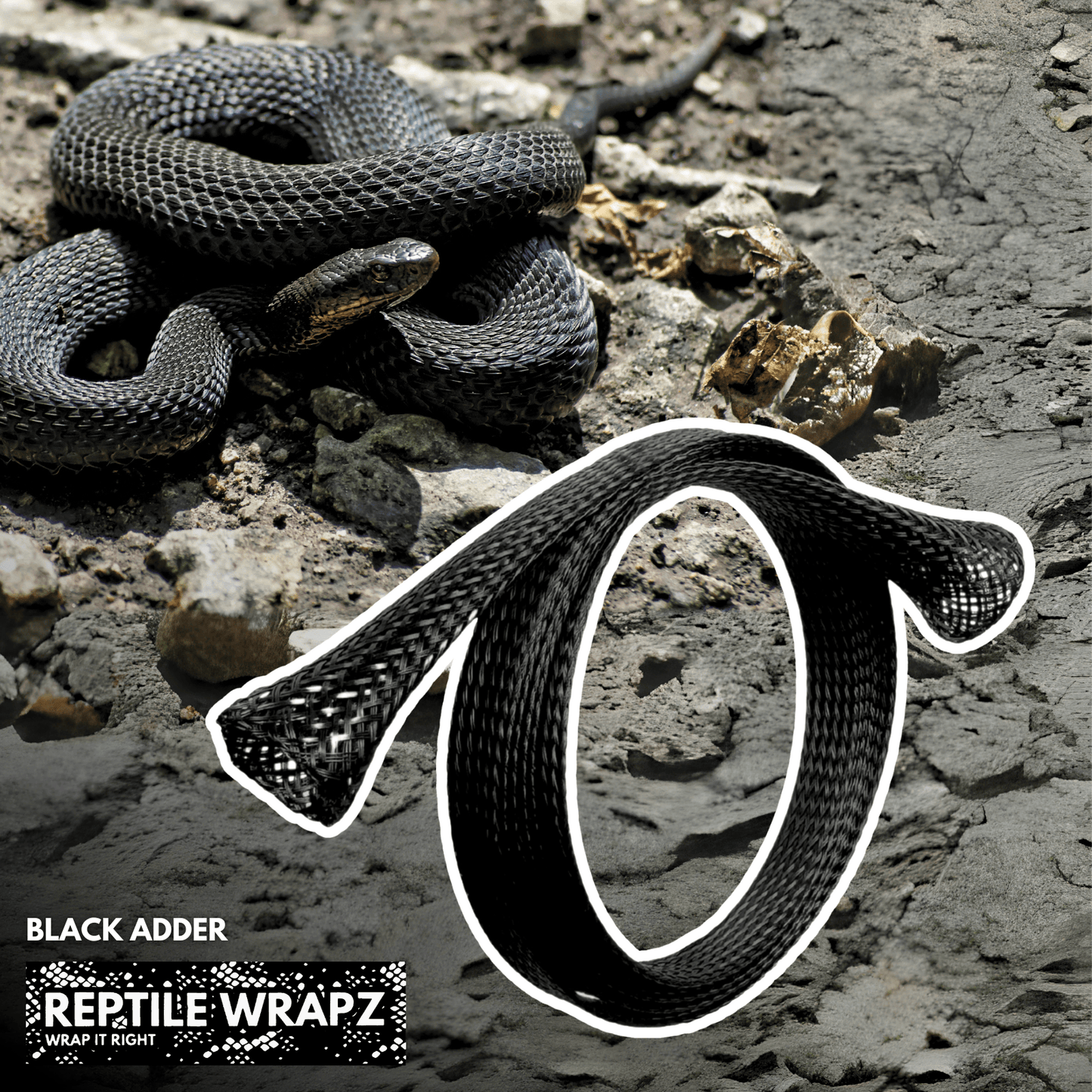 Detect-Ed Everyday Detectorist REPTILE WRAPZ DETECTOR CABLE SLEEVE