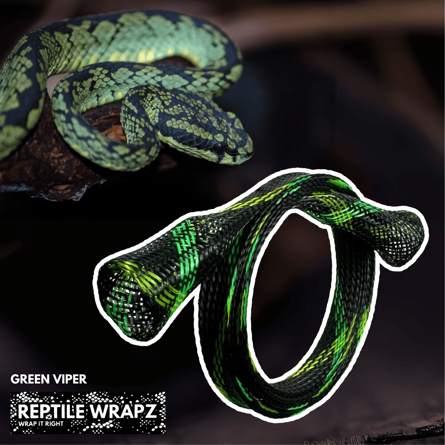 Detect-Ed Everyday Detectorist REPTILE WRAPZ DETECTOR CABLE SLEEVE