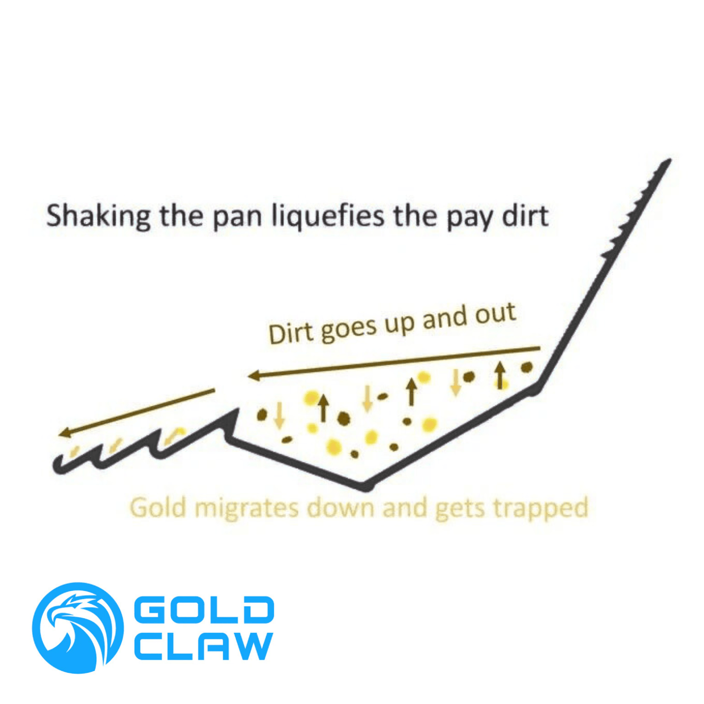 Detect-Ed GOLD CLAW GOLD CLAW POCKET PAN