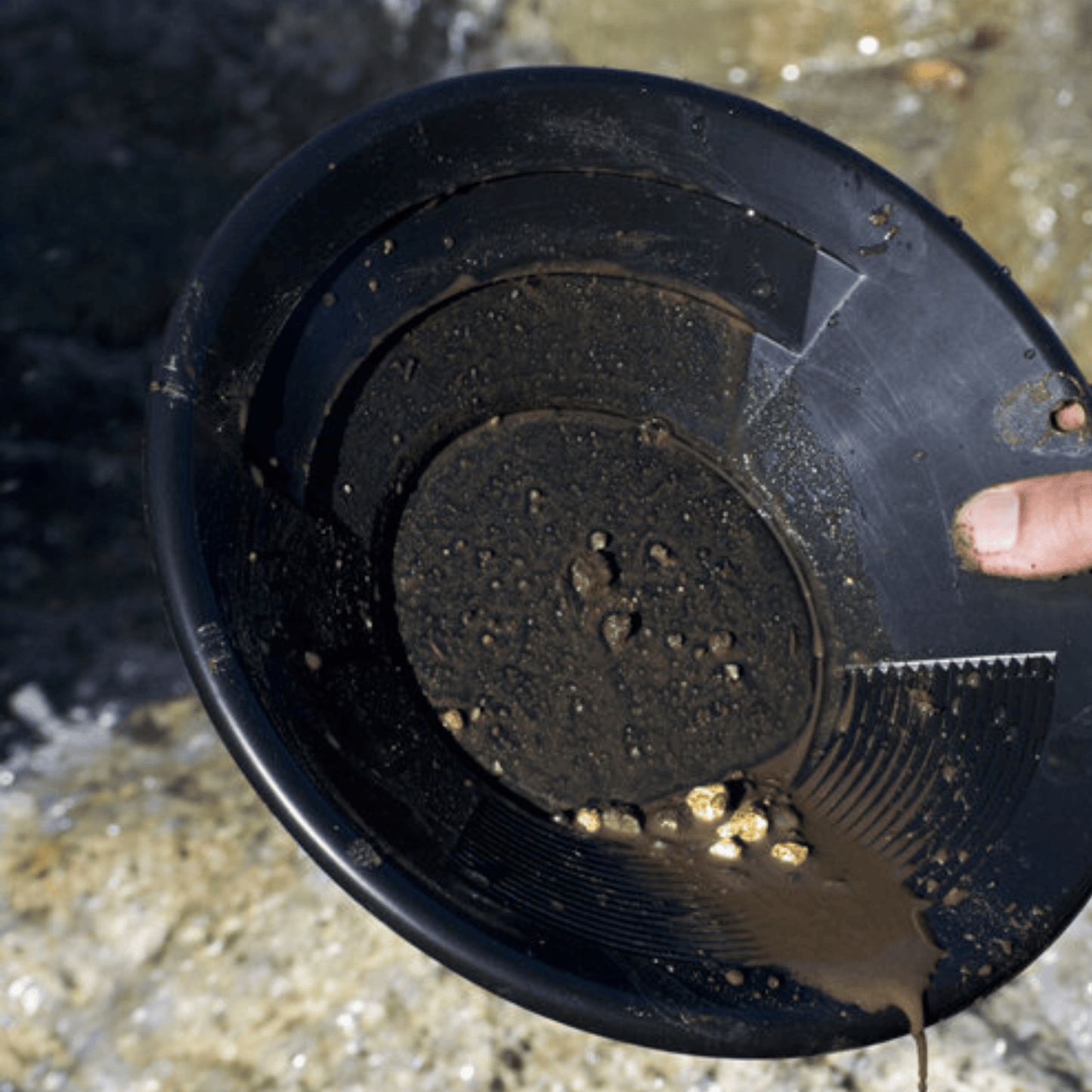 Detect-Ed SE 25cm Gold Pan [Choose Colour]