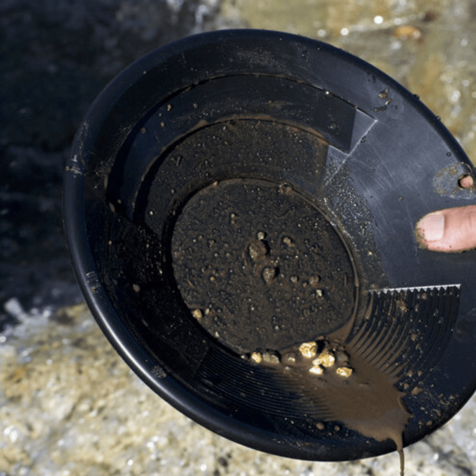 Detect-Ed SE 25cm Gold Pan [Choose Colour]