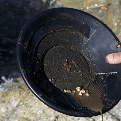 Detect-Ed SE 25cm Gold Pan [Choose Colour]