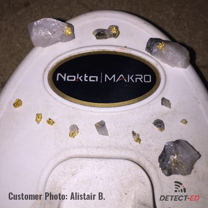 Nokta Makro Gold Kruzer finding gold nuggets