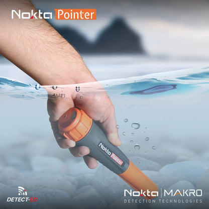 Detect-Ed Nokta NOKTA POINTER 10000110